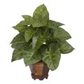 Dare2Decor Taro with Vase Silk Plant DA664695